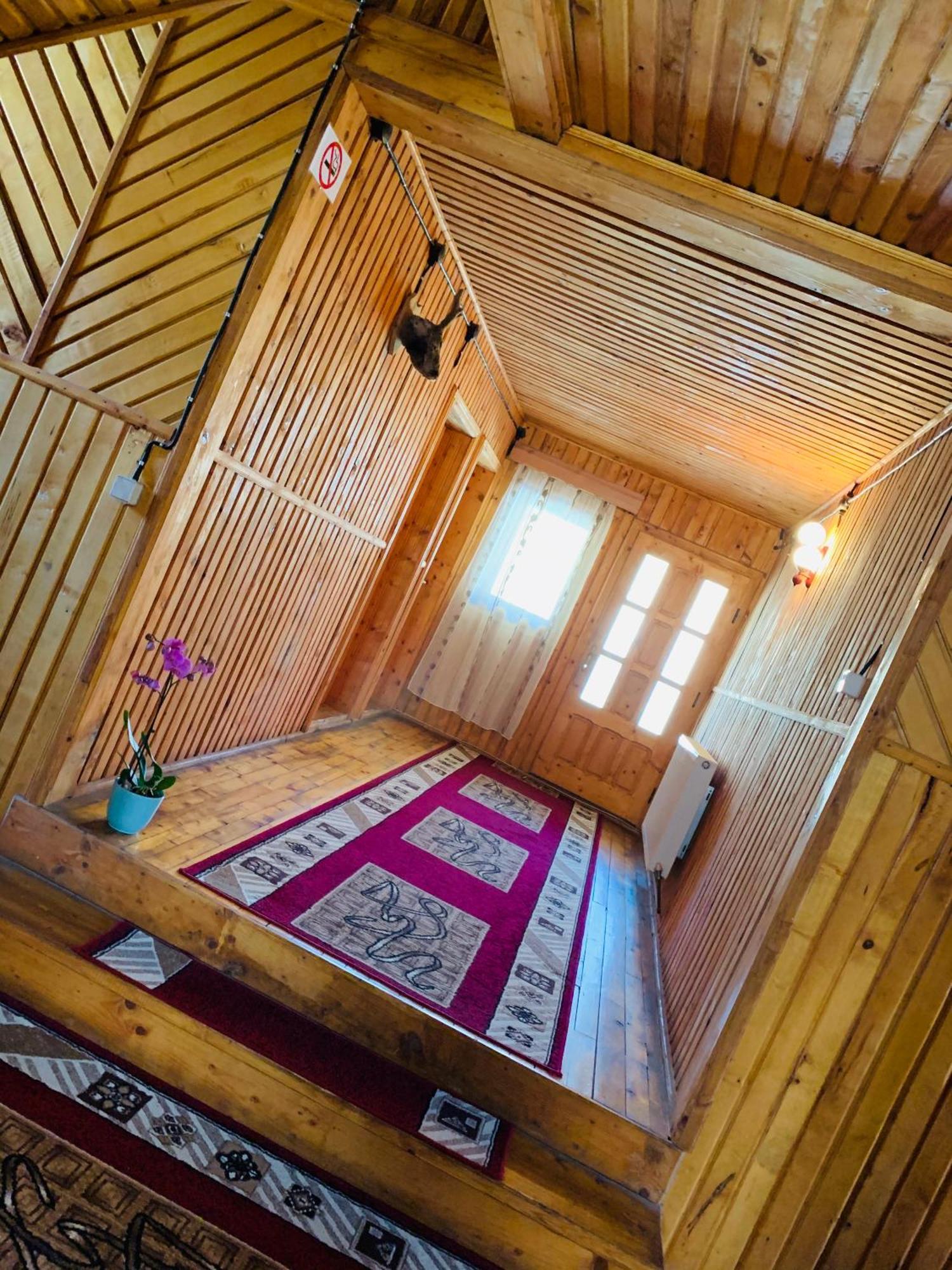 Casa Andu Hotel Dîmbovicioara Kültér fotó