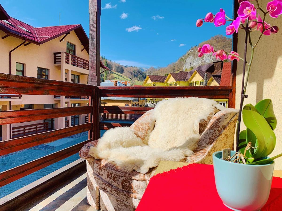 Casa Andu Hotel Dîmbovicioara Kültér fotó