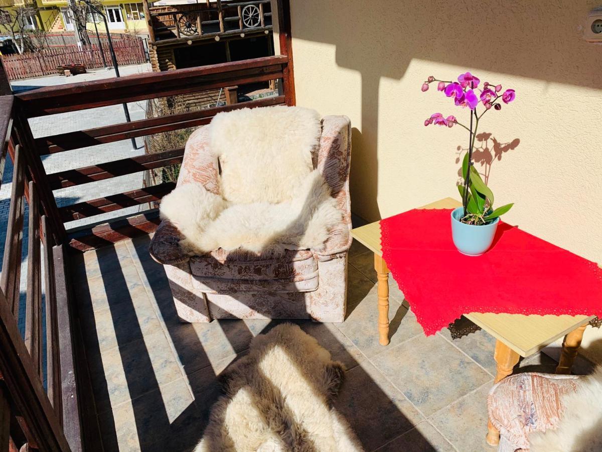 Casa Andu Hotel Dîmbovicioara Kültér fotó